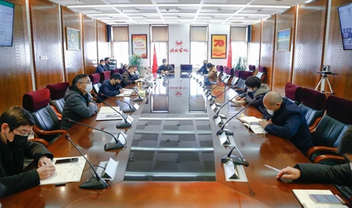 集团召开技改项目专题会