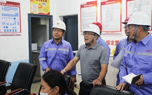 王大真一行到内蒙宜化现场办公