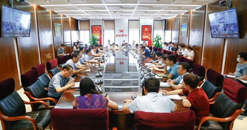 集团召开会议传达学习市政府深化宜化改革工作领导小组专题会议精神