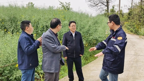 王大真一行到松滋肥业现场办公