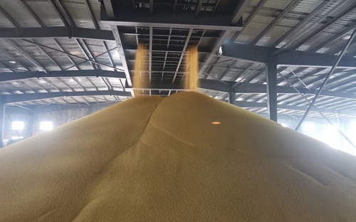 新年新气象！楚星公司黄色磷酸二铵产品成功下线
