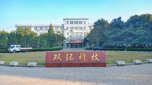 双环公司：坚定信心 扛起责任 奋力作为