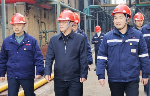 王大真到双环公司和田家河新项目现场办公