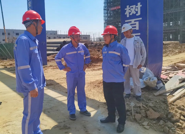 王大真到双环公司和田家河氨醇项目现场调研