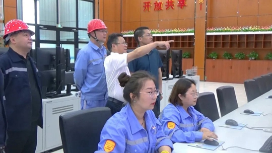 王大真到青海宜化和青海黎明走访调研