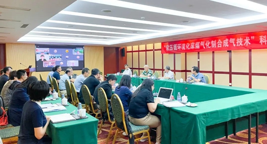 通过鉴定！新疆宜化一项技术达国际领先水平！