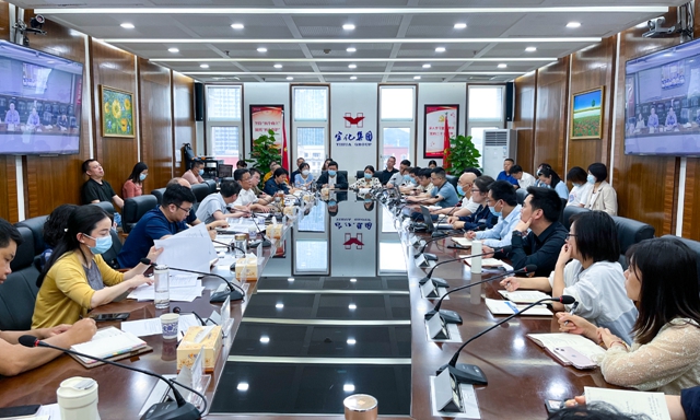 王大真在集团财务系统工作调度会上强调：不断增强“四力”，在宜化发展新阶段作出财务新贡献