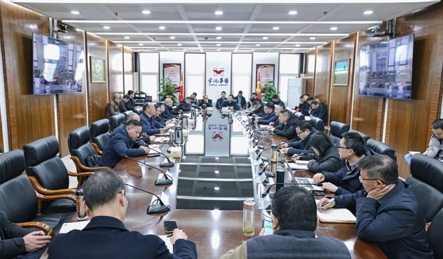集团传达学习落实全国全省全市安全生产电视电话会议精神