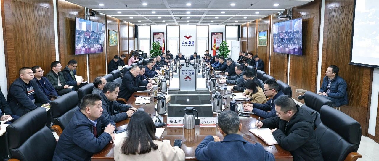 集团党委传达学习习近平总书记重要讲话精神