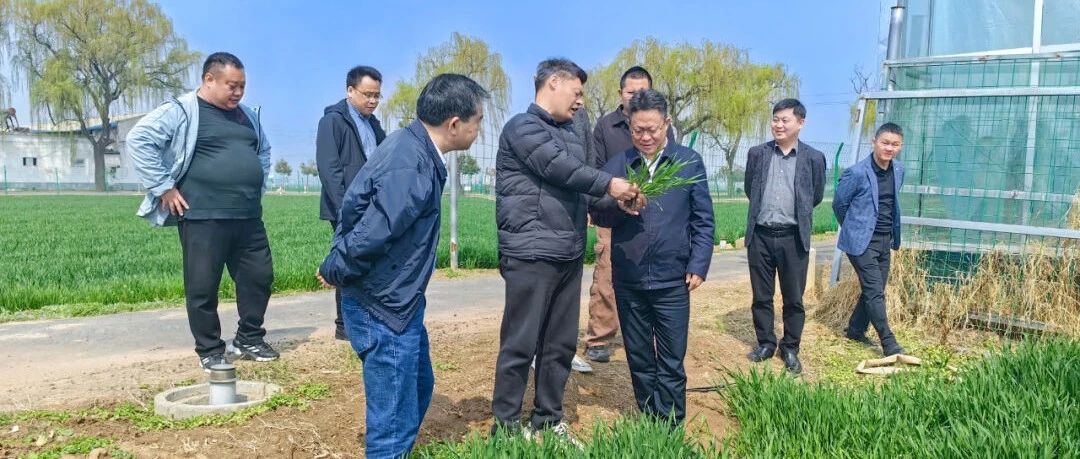 王大真走访调研河南销售市场